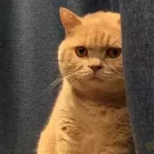 香港留学生都被问过这5个扎心问题，最后一个让我震惊了！