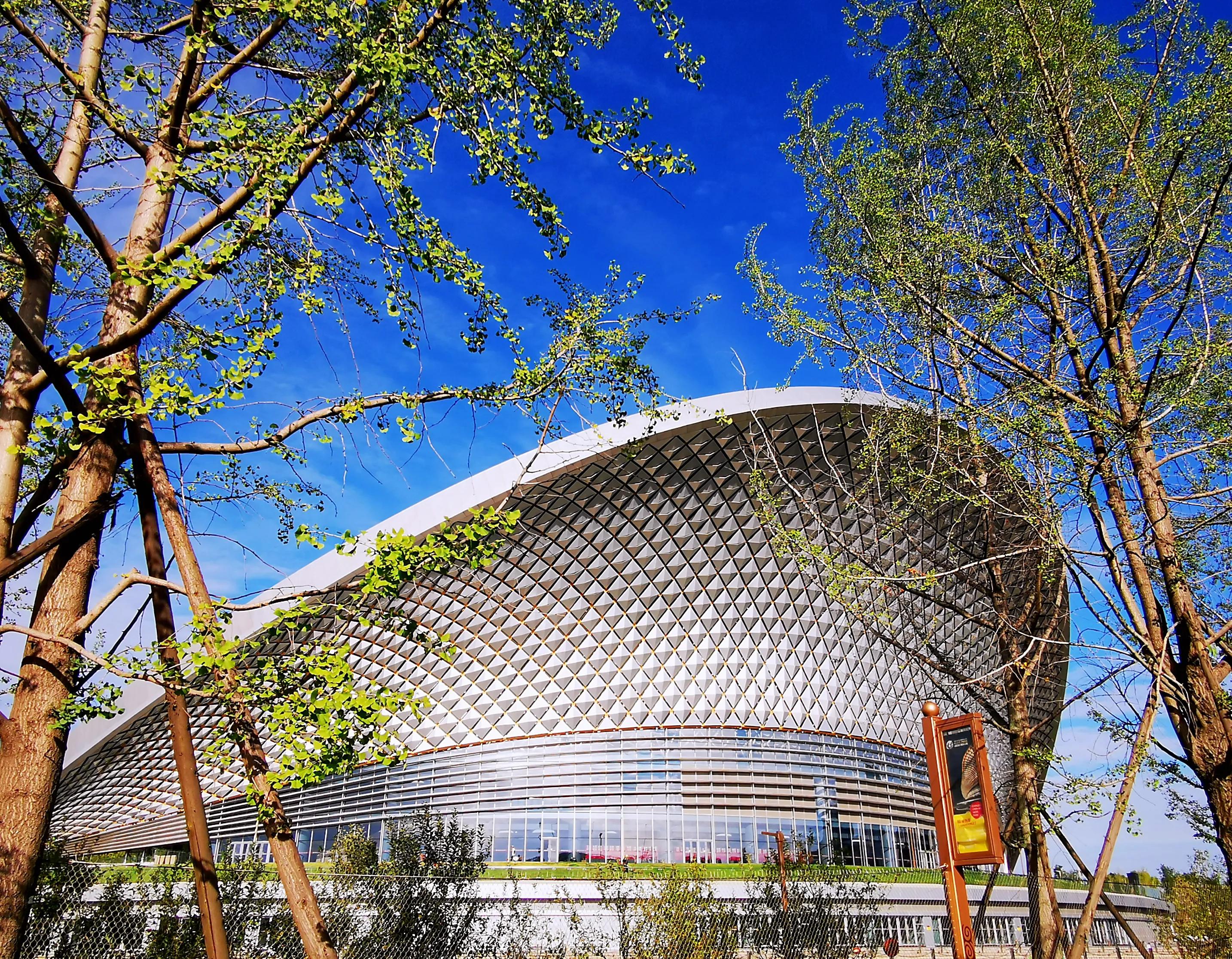 老成都的回忆完整版,老成都的记忆电烤肉串