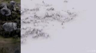 权力的游戏特效制作费用,权力的游戏震撼特效