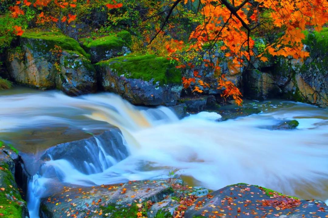 年平均气温25度左右的城市,年平均气温18度城市