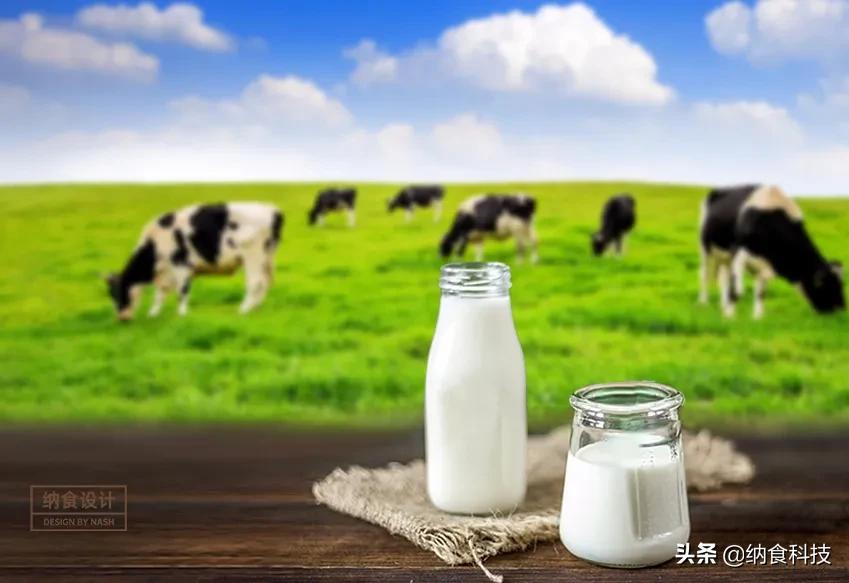 光明高端低温鲜牛奶,金典低温鲜牛奶