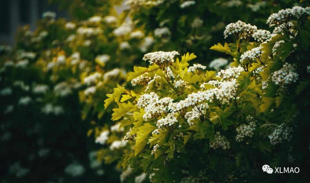摄影爱好者的拍摄题材,一名业余摄影爱好者的简介
