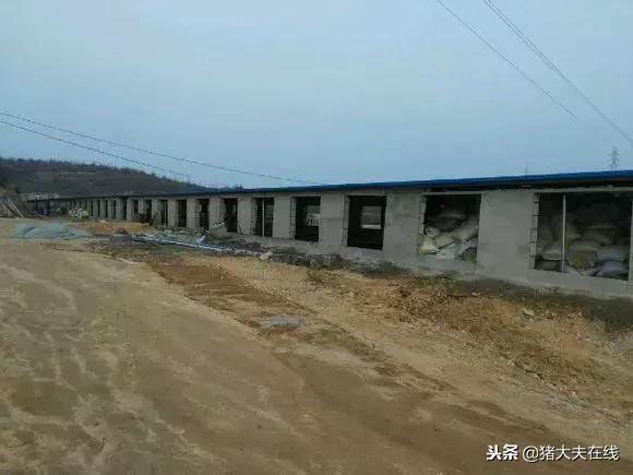 一条龙羊场,最大羊场