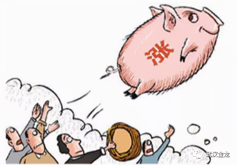 武汉金龙王军：盲目扩张、急功近利…非洲猪瘟对行业的影响与变革正在显现|猪业视点