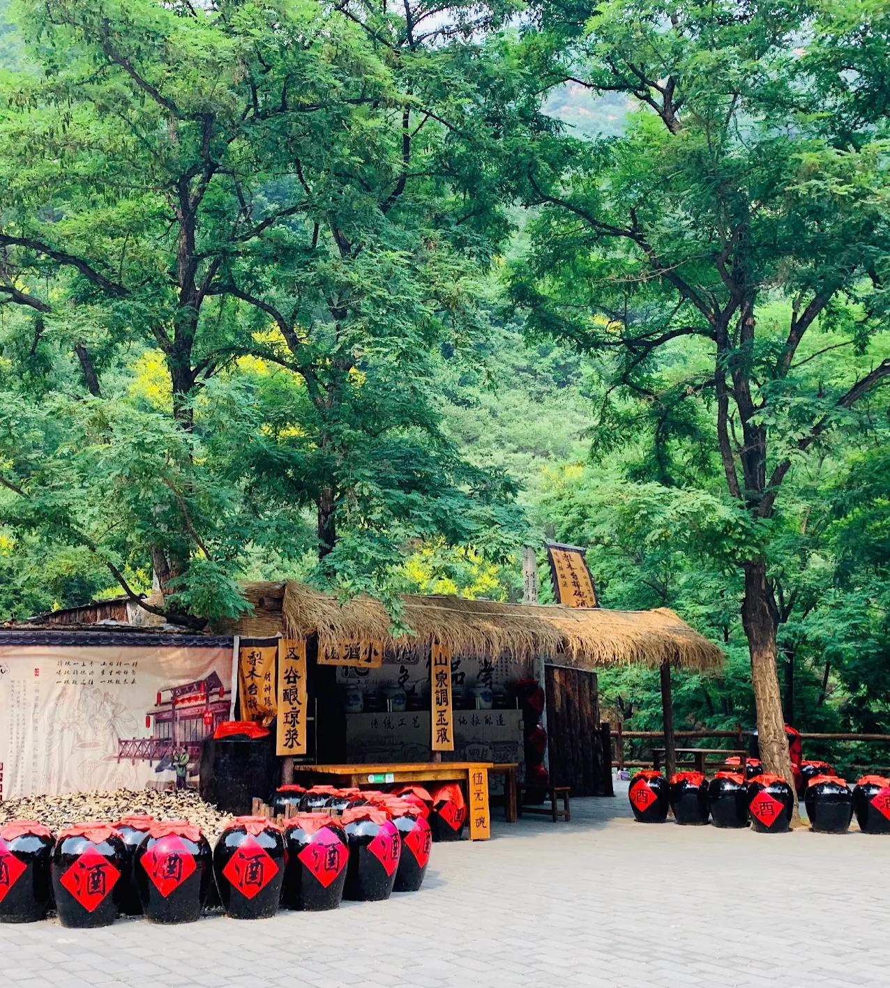 蓟县梨木台绿野山香农家院,天津蓟县梨木台一日游