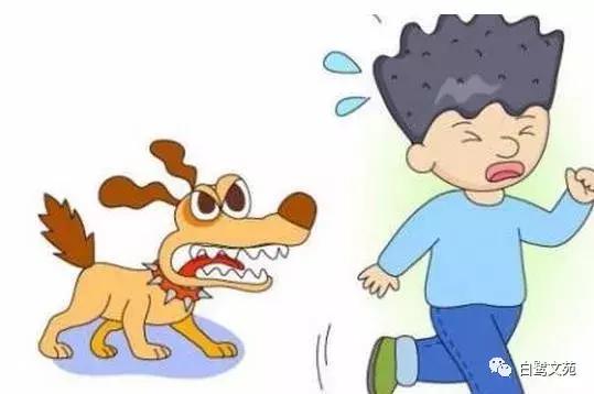 林志玲姐姐结婚时间,林志玲对婚姻的看法