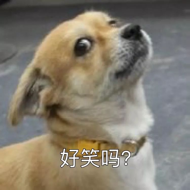 舔狗日常论一个舔狗可以有多舔,舔狗就是舔狗哪来那么多问题