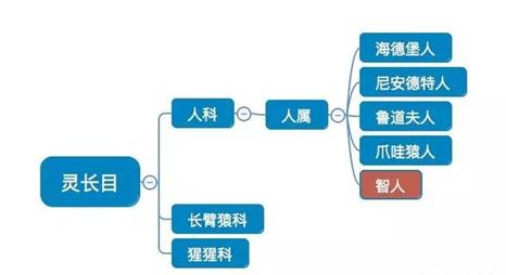 人类历史上的疫情都是如何结束的,人类疫情史