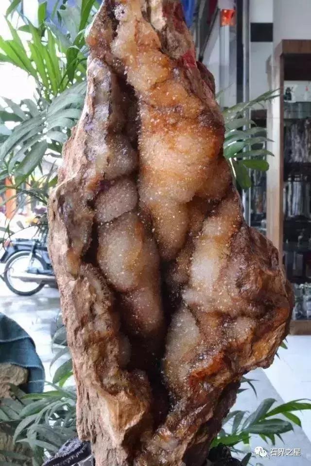 世上最惊艳的木头,世界上最漂亮的红色木头