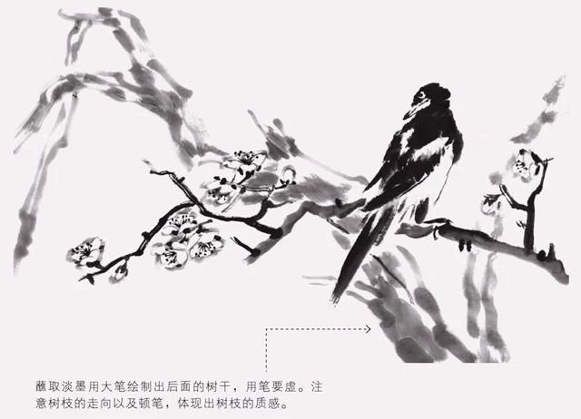 国画怎么把鸟画的活灵活现,如何画鸟要好看