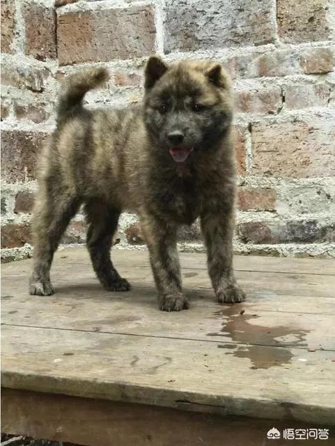 天堂真的很美么,天堂真的很美丽吗