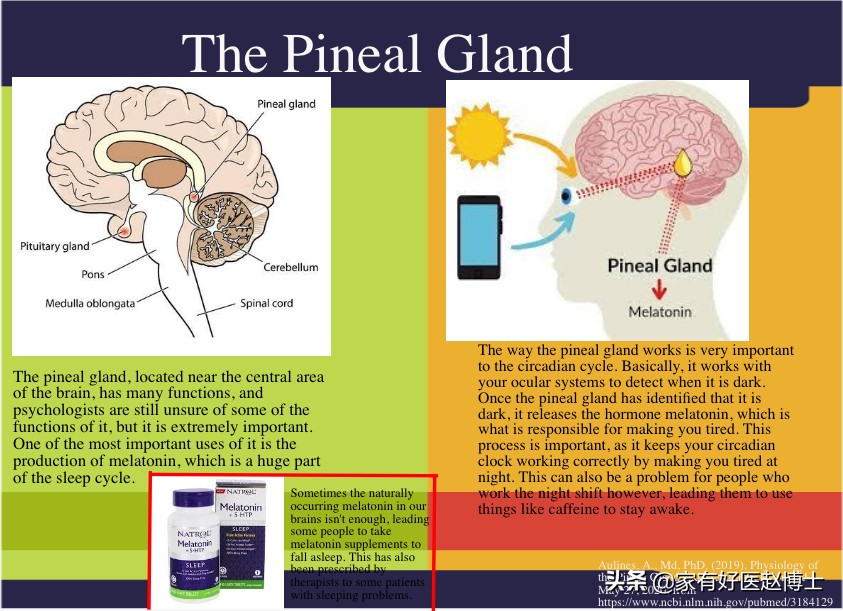 助眠药物褪黑素可以自己买到吗,褪黑素助眠片有用吗