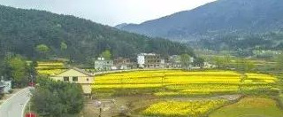 返乡创业助力家乡实体经济发展,商城县返乡创业补贴