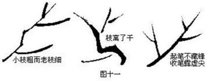 梅花画法简笔画,梅花画法的视频