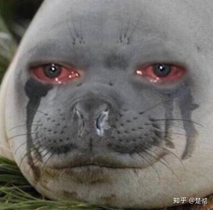 女生抽烟的害处有哪些,抽烟有什么好作用