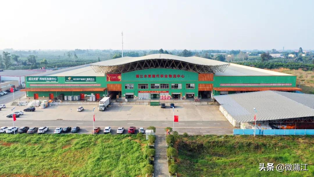 四川被国务院点名的县,蒲江通报