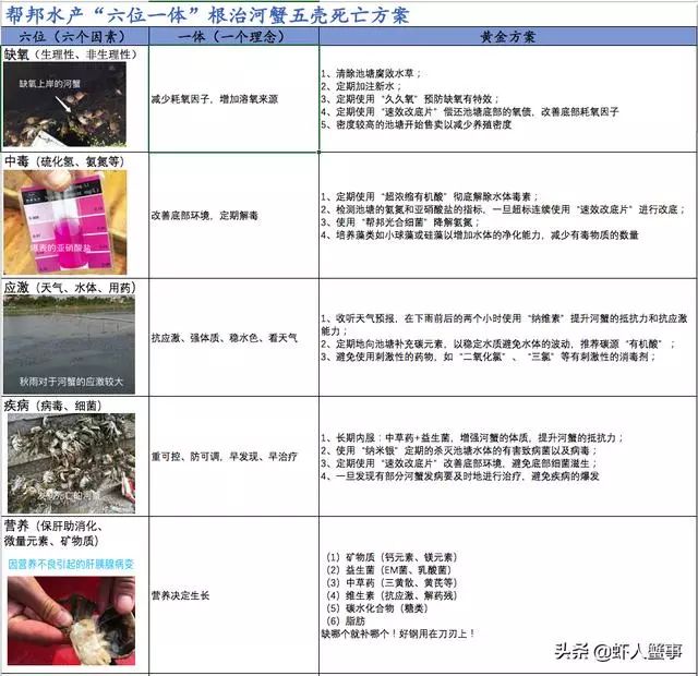 青蟹脱壳就死什么原因,河蟹无壳伤亡原因与处理