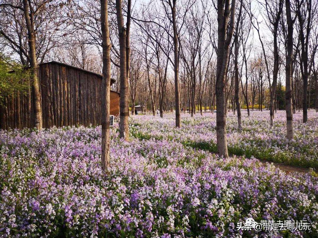 带娃周边3-4天自由行攻略,又到周末要带娃