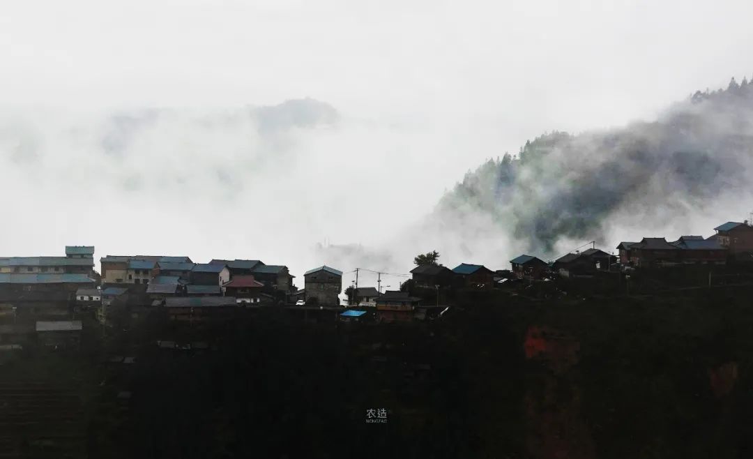农造田野丨总有一根神经通往乡野|月亮山百里梯田