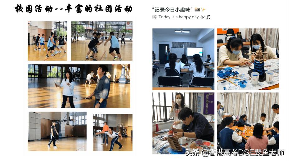 鲸帆dse国际,鲸帆dse国际学校创作人