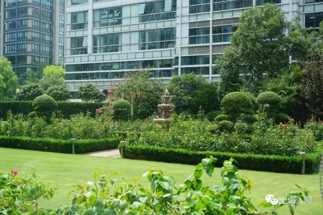 这所托育园堪比高端幼儿园!今年新开,硬件豪气户外大,师资超棒