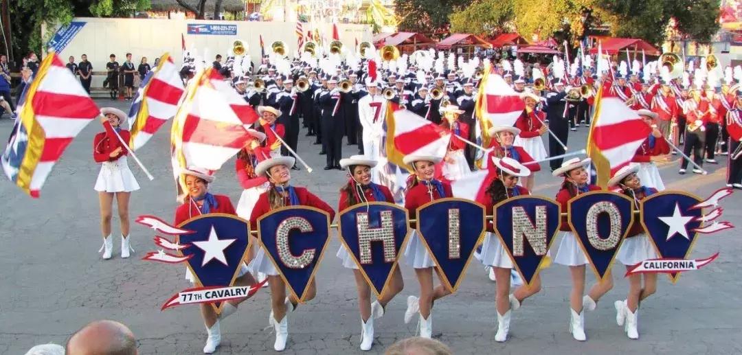 笋盘推荐性价比高,高性价比笋盘推荐