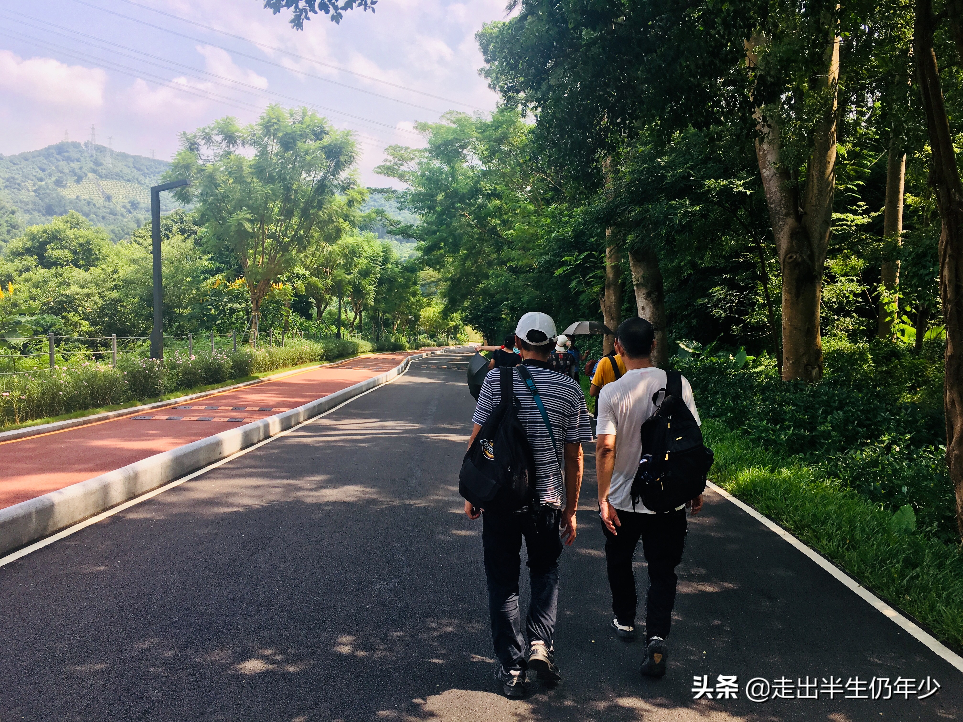 淘金山求水山徒步线路,从求水山公园怎样进入淘金山绿道