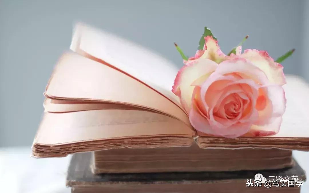 王小飞解说,王晓飞录音