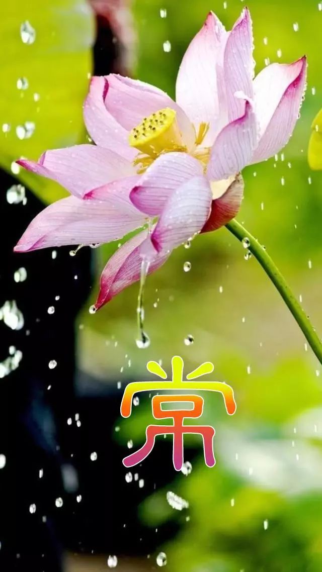 天然翡翠财字,翡翠字体图片欣赏