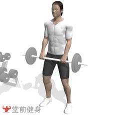 获取一周瘦4斤新手健身计划,初级力量训练计划一周表