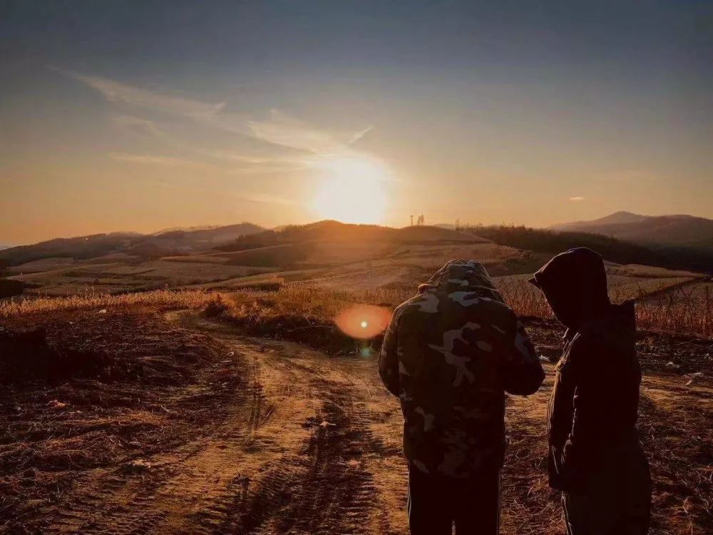 黑参与黑参脚区别,黑参与西洋参有什么区别