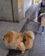 平时瓶盖都拧不开的小女生,平时拧不开瓶盖的女孩原视频