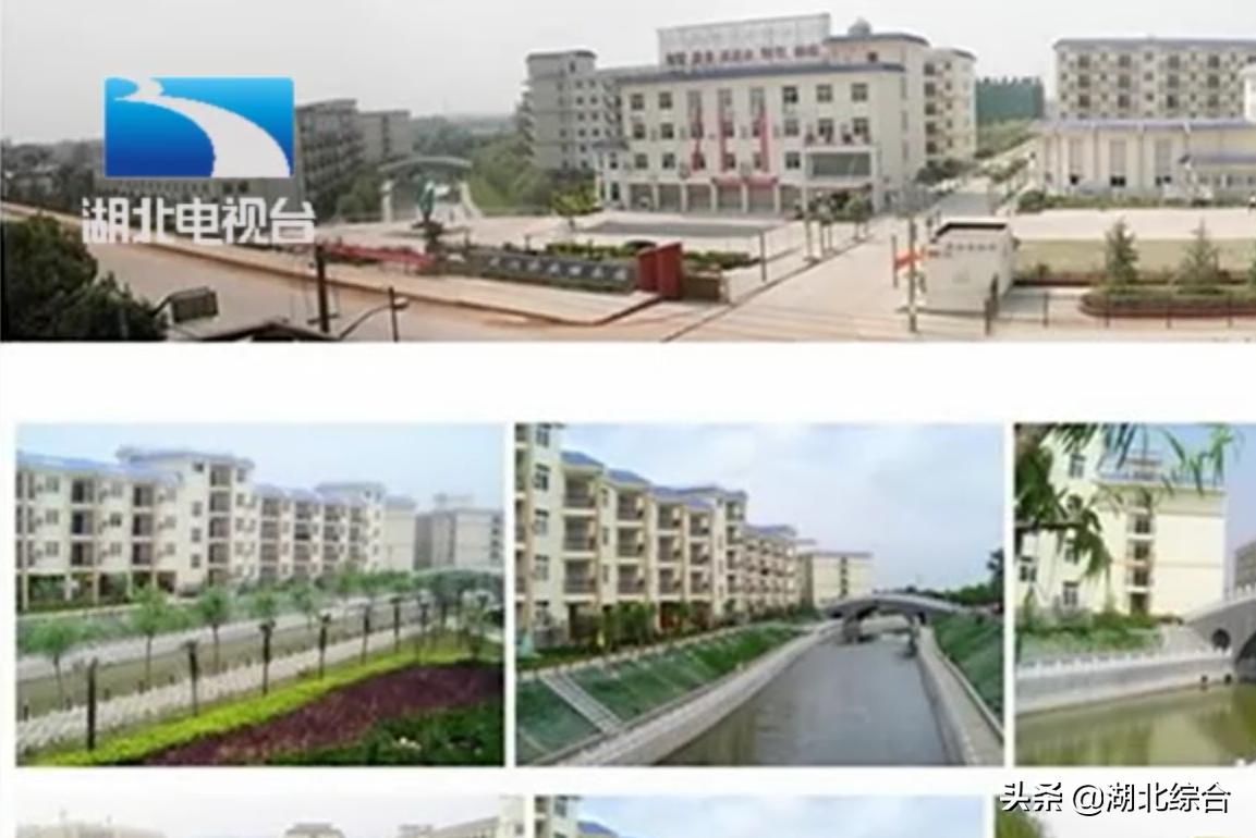 女子经不住诱惑，花40万买养老入住资格，“助老金”为何断了粮？