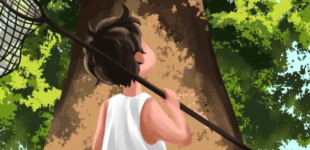 讲诚信的好词好句好段,描写诚信的好词和名言