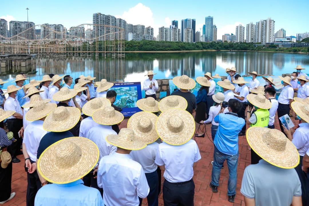 理论中心组进行集体学习,理论学习中心组集体学习计划