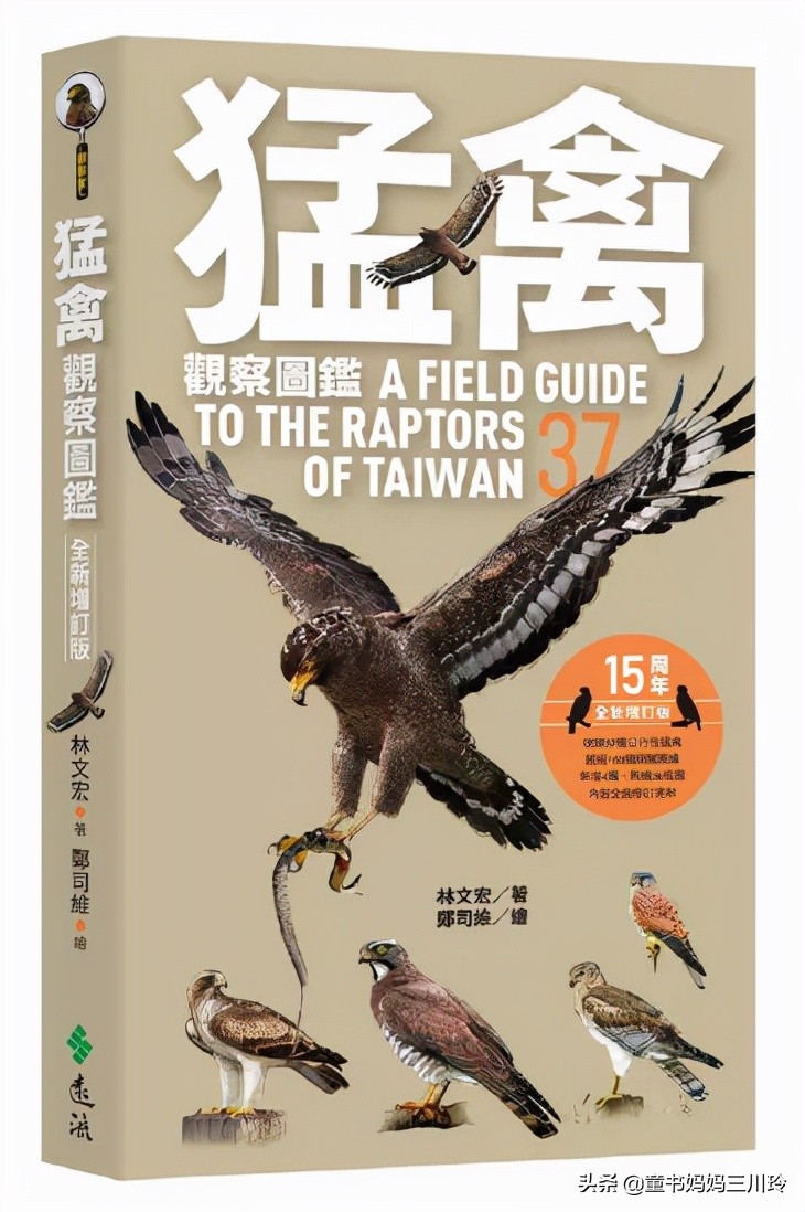 励志越挫越勇书单,培养孩子的抗挫品格