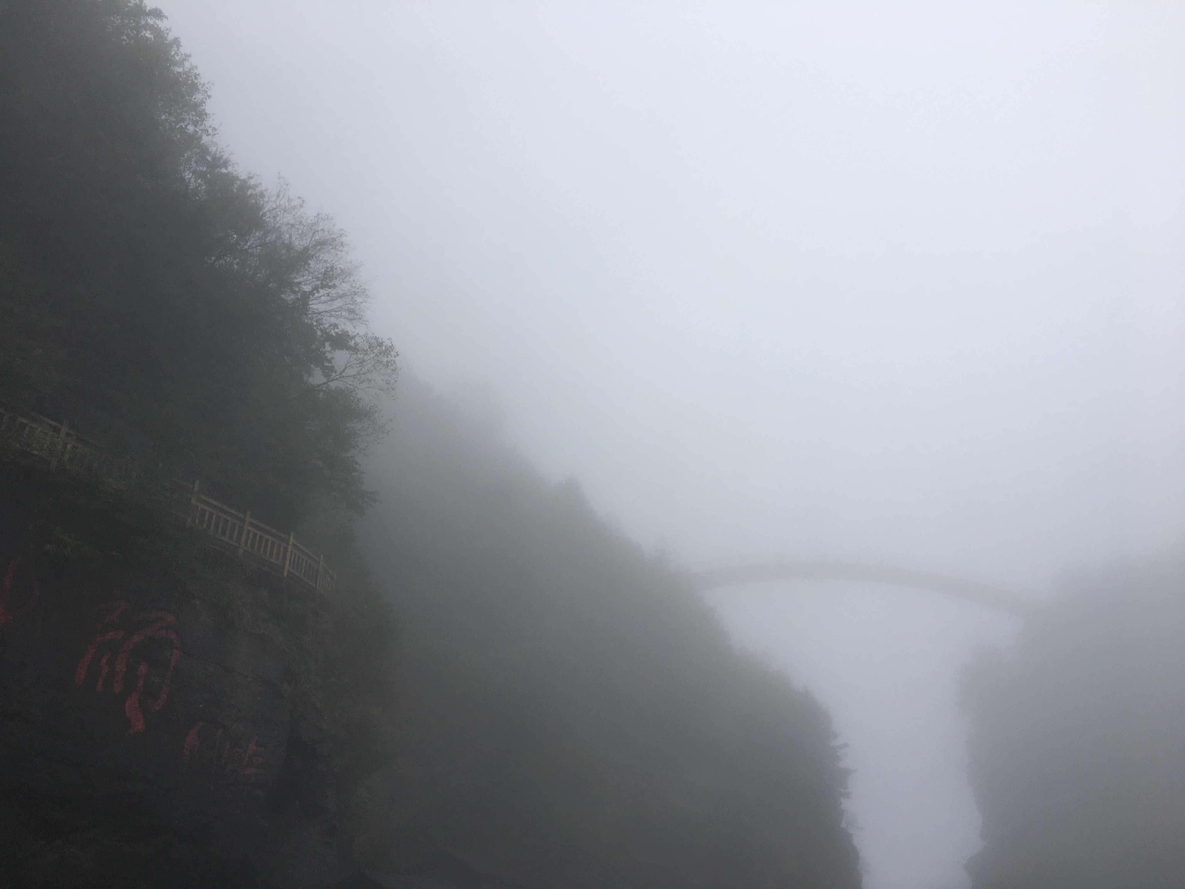 雨中神农架探秘之旅｜国庆节武汉至神农架自驾游攻略分享