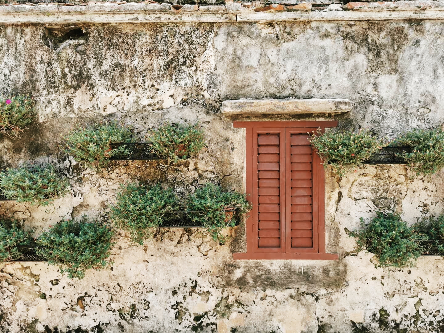 叙事疗法简介,叙事治疗的最佳方法