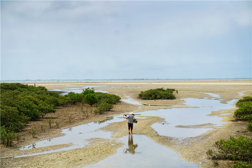 广西这个地方真美,广西最适合养老的海边城市