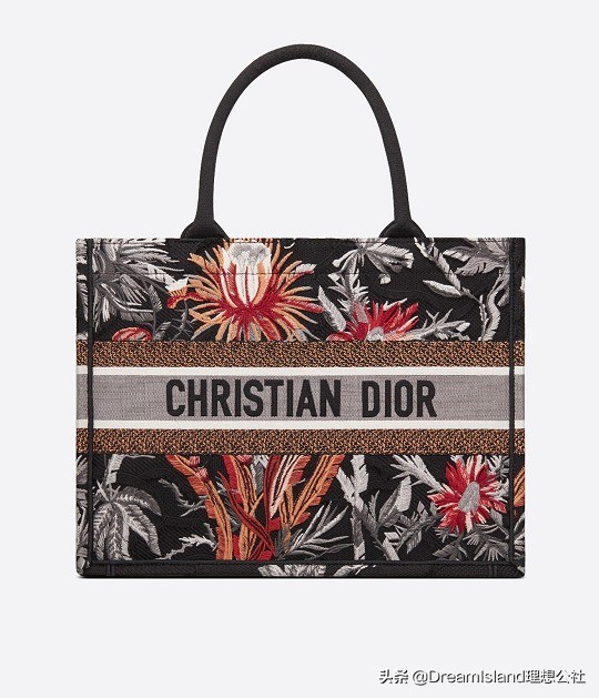 dior新款刺绣帆布托特包,刺绣马鞍包dior2019