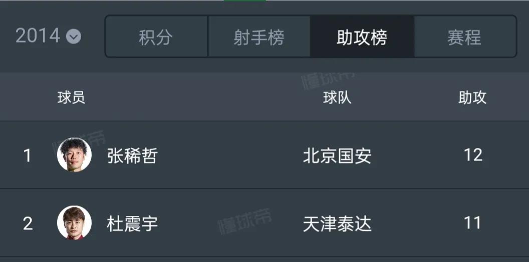 张稀哲落选国足,张稀哲国足大名单
