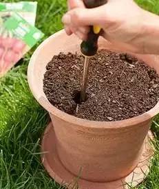 花园土壤如何松土,花园土壤怎么改造