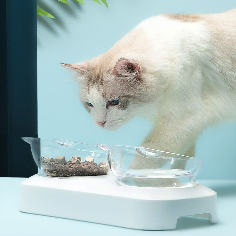 猫咪尿闭好了后尿血,猫咪尿闭好了之后又出现尿血