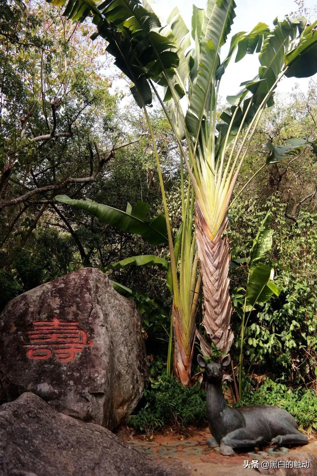 三亚必去的5大景点最新,三亚有哪些值得逛的地方