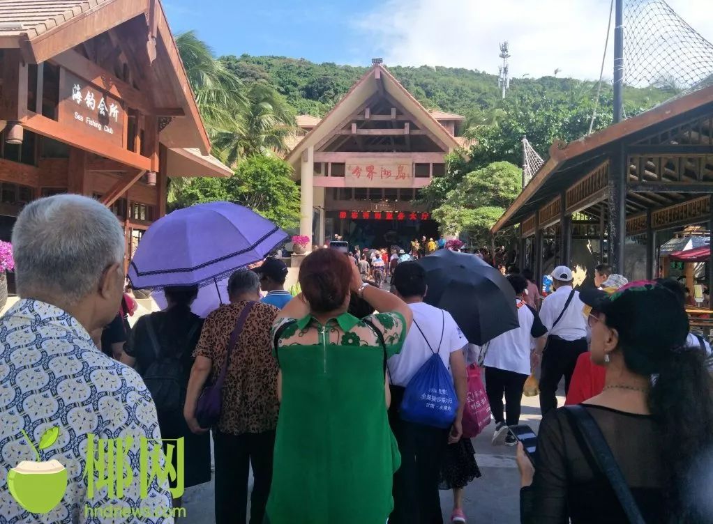 低价团出省游,海南免费旅游团如何盈利