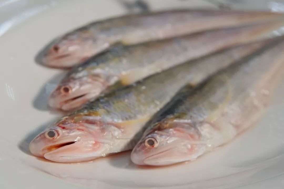 无锡好吃的又好看的餐厅推荐,舌尖上的无锡美食全集