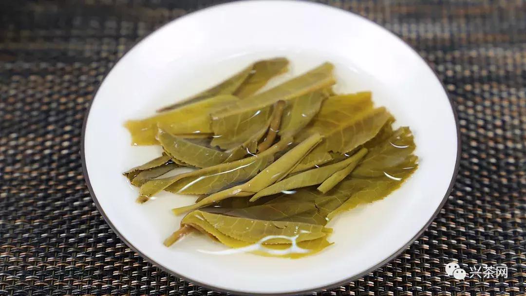 福海金福普洱茶,福海茶厂2016年福韵熟茶