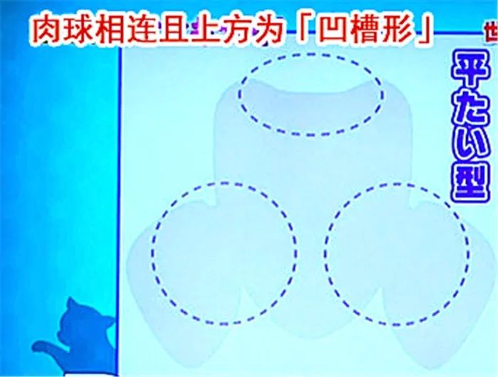 猫爪辨别猫的性格,猫咪爪垫分辨性格准确吗