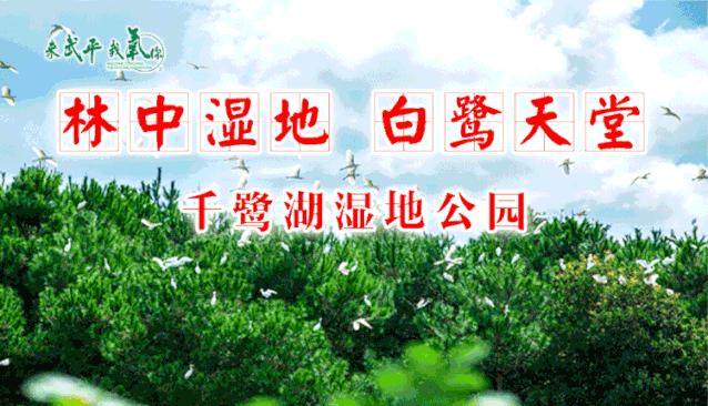 浪漫七夕快乐骑行,武平梁野山两日游