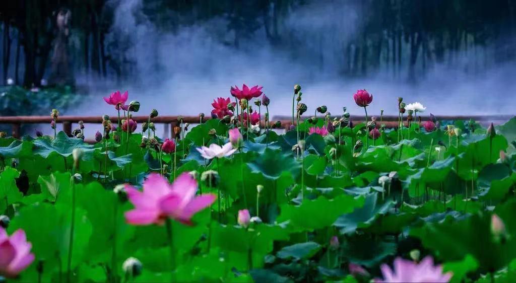 山东自驾游最佳旅游路线发布,山东自驾旅游攻略最全最好的线路